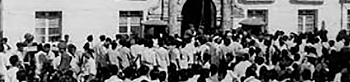 Freedom Struggle